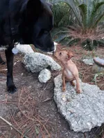 processed/f9c27b33-ae5f-4d0c-98e0-63265eae79a0/facility/3533924b-91c2-4577-99a6-9c5fd5387dbd