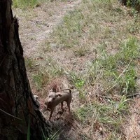 processed/f9c27b33-ae5f-4d0c-98e0-63265eae79a0/facility/55c04acd-9fc4-470e-a818-f3259ddf6d95