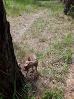 processed/f9c27b33-ae5f-4d0c-98e0-63265eae79a0/facility/55c04acd-9fc4-470e-a818-f3259ddf6d95