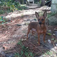 processed/f9c27b33-ae5f-4d0c-98e0-63265eae79a0/facility/6c612162-b2e7-4722-b3d9-22d72e98d33e