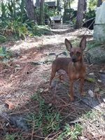 processed/f9c27b33-ae5f-4d0c-98e0-63265eae79a0/facility/6c612162-b2e7-4722-b3d9-22d72e98d33e