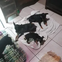 processed/f9c27b33-ae5f-4d0c-98e0-63265eae79a0/facility/7d0849d8-bfa9-4c18-b506-47e010582db1