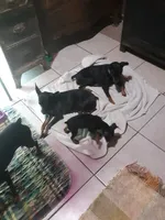 processed/f9c27b33-ae5f-4d0c-98e0-63265eae79a0/facility/7d0849d8-bfa9-4c18-b506-47e010582db1