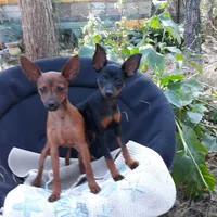 processed/f9c27b33-ae5f-4d0c-98e0-63265eae79a0/facility/81ed4697-3f3d-49d0-b7ed-08622c4dec98