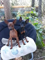 processed/f9c27b33-ae5f-4d0c-98e0-63265eae79a0/facility/81ed4697-3f3d-49d0-b7ed-08622c4dec98