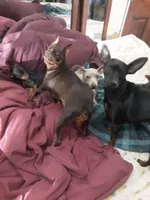 processed/f9c27b33-ae5f-4d0c-98e0-63265eae79a0/facility/9c6413eb-2d98-4d6c-8363-3e0b9c557c97