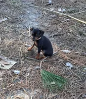 processed/f9c27b33-ae5f-4d0c-98e0-63265eae79a0/listing/3bf9c90a-008b-41db-a6d1-3815c96a8ae3/110fe66b-1a75-404e-8e23-c9a35b95b008