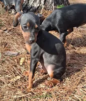 processed/f9c27b33-ae5f-4d0c-98e0-63265eae79a0/listing/3bf9c90a-008b-41db-a6d1-3815c96a8ae3/56c84a9b-d236-4942-b93e-29f3f89bc5ad