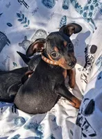 processed/f9c27b33-ae5f-4d0c-98e0-63265eae79a0/listing/3bf9c90a-008b-41db-a6d1-3815c96a8ae3/6023603f-216d-47f6-9b92-e4a85dc41bd5