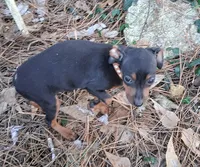 processed/f9c27b33-ae5f-4d0c-98e0-63265eae79a0/listing/3bf9c90a-008b-41db-a6d1-3815c96a8ae3/63cdfa2a-6268-432c-a143-787e03a7b130