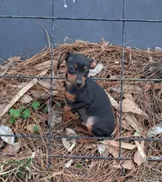 processed/f9c27b33-ae5f-4d0c-98e0-63265eae79a0/listing/3bf9c90a-008b-41db-a6d1-3815c96a8ae3/c06a31eb-d2c7-4721-ae07-5ebcee7c9339