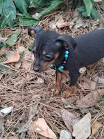 processed/f9c27b33-ae5f-4d0c-98e0-63265eae79a0/listing/3bf9c90a-008b-41db-a6d1-3815c96a8ae3/d0aef73d-25d3-4bb8-ad64-5938d5429028