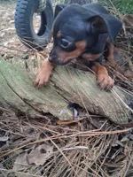 processed/f9c27b33-ae5f-4d0c-98e0-63265eae79a0/listing/3bf9c90a-008b-41db-a6d1-3815c96a8ae3/fbbd38aa-da63-4aa7-a254-535354ef3f6b