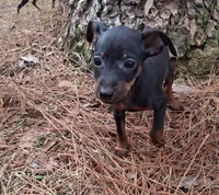 processed/f9c27b33-ae5f-4d0c-98e0-63265eae79a0/listing/3c29b27e-3d2b-4497-8f89-a28dac04a1a6/14205b4f-931e-4153-a685-9cd74b1dc362