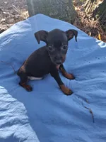 processed/f9c27b33-ae5f-4d0c-98e0-63265eae79a0/listing/3c29b27e-3d2b-4497-8f89-a28dac04a1a6/3a1ee39e-227f-4130-bf9a-6c4f13451c4f