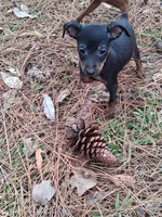 processed/f9c27b33-ae5f-4d0c-98e0-63265eae79a0/listing/3c29b27e-3d2b-4497-8f89-a28dac04a1a6/3e232422-5190-4e9a-a5bc-9e7c6a603fac