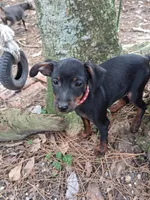 processed/f9c27b33-ae5f-4d0c-98e0-63265eae79a0/listing/3c29b27e-3d2b-4497-8f89-a28dac04a1a6/7fce0f4d-3df4-494b-b040-75da2a50f08e