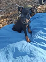 processed/f9c27b33-ae5f-4d0c-98e0-63265eae79a0/listing/3c29b27e-3d2b-4497-8f89-a28dac04a1a6/9a4a0796-11d0-46c6-9fd0-5bb54627034f