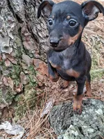 processed/f9c27b33-ae5f-4d0c-98e0-63265eae79a0/listing/3c29b27e-3d2b-4497-8f89-a28dac04a1a6/a4871ddf-09b5-4d02-8f77-308bf778d2b3