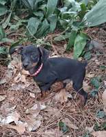 processed/f9c27b33-ae5f-4d0c-98e0-63265eae79a0/listing/3c29b27e-3d2b-4497-8f89-a28dac04a1a6/b3af1103-5091-4300-8853-fc7b42a954a9