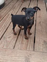 processed/f9c27b33-ae5f-4d0c-98e0-63265eae79a0/listing/3c29b27e-3d2b-4497-8f89-a28dac04a1a6/db097873-a19c-4796-8ab5-127404277e82