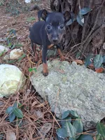 processed/f9c27b33-ae5f-4d0c-98e0-63265eae79a0/listing/3c29b27e-3d2b-4497-8f89-a28dac04a1a6/ea07c607-6728-43c8-afb4-524c6f1d0e74