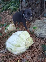 processed/f9c27b33-ae5f-4d0c-98e0-63265eae79a0/listing/659fdb9f-422f-4889-881f-7dbbc0d709d7/544dfb93-32a0-4ba0-8c21-9c21573ddd0c