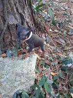 processed/f9c27b33-ae5f-4d0c-98e0-63265eae79a0/listing/659fdb9f-422f-4889-881f-7dbbc0d709d7/6068c583-c5a0-4553-9e34-fc675cffb10f