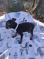 processed/f9c27b33-ae5f-4d0c-98e0-63265eae79a0/listing/659fdb9f-422f-4889-881f-7dbbc0d709d7/6503b288-0eb4-4a70-8300-87fc171a847b