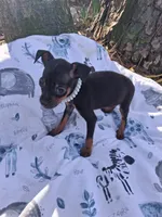 processed/f9c27b33-ae5f-4d0c-98e0-63265eae79a0/listing/659fdb9f-422f-4889-881f-7dbbc0d709d7/993a1423-0f5e-4501-a901-e8944390dc5a