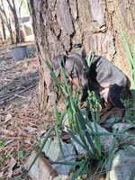 processed/f9c27b33-ae5f-4d0c-98e0-63265eae79a0/listing/659fdb9f-422f-4889-881f-7dbbc0d709d7/ae2fc306-a535-435c-8058-d6f1283814ac