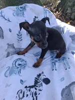 processed/f9c27b33-ae5f-4d0c-98e0-63265eae79a0/listing/659fdb9f-422f-4889-881f-7dbbc0d709d7/dcb2a611-130c-48f9-96e2-c861182f2f30