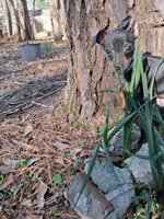 processed/f9c27b33-ae5f-4d0c-98e0-63265eae79a0/listing/659fdb9f-422f-4889-881f-7dbbc0d709d7/f149848d-ddec-47a8-ba9a-48a6d82f1cc8