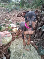 processed/f9c27b33-ae5f-4d0c-98e0-63265eae79a0/listing/7fd86618-2dce-4e09-9fdc-9d2c7e601b56/133d0bde-f1c6-4959-a8d8-da27c9c808c8