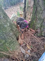 processed/f9c27b33-ae5f-4d0c-98e0-63265eae79a0/listing/7fd86618-2dce-4e09-9fdc-9d2c7e601b56/1e614607-a04c-4a87-9f65-c9c5060fd0fa