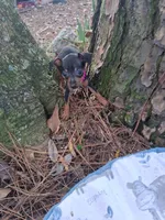 processed/f9c27b33-ae5f-4d0c-98e0-63265eae79a0/listing/7fd86618-2dce-4e09-9fdc-9d2c7e601b56/24315266-2e25-44a8-a4f3-91bb4f8e25ec