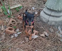 processed/f9c27b33-ae5f-4d0c-98e0-63265eae79a0/listing/7fd86618-2dce-4e09-9fdc-9d2c7e601b56/2e7ff9cf-9288-48bc-ba62-3a5dec1ad20f