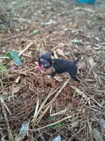 processed/f9c27b33-ae5f-4d0c-98e0-63265eae79a0/listing/7fd86618-2dce-4e09-9fdc-9d2c7e601b56/6d41b6cb-89c3-4543-83c3-52b0af3cba68