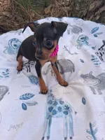 processed/f9c27b33-ae5f-4d0c-98e0-63265eae79a0/listing/7fd86618-2dce-4e09-9fdc-9d2c7e601b56/893ea223-8510-42be-ba6f-52c7b29ef810