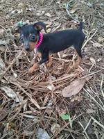 processed/f9c27b33-ae5f-4d0c-98e0-63265eae79a0/listing/7fd86618-2dce-4e09-9fdc-9d2c7e601b56/b40089d5-bedb-4662-865d-29912a475fa7