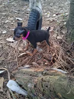 processed/f9c27b33-ae5f-4d0c-98e0-63265eae79a0/listing/7fd86618-2dce-4e09-9fdc-9d2c7e601b56/b58077a6-7d4f-4d67-a6fb-887d48c669ca