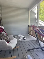 Reef, a male Dalmatian for sale in Lincoln, NE – 6 of 9