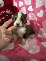 processed/f9caf3b6-4613-486a-9f69-bb9a0ba3d17f/listing/399656fc-641a-42f7-a76f-2f7eeab82081/0417d064-ec0c-41a9-8c49-9e49e44c0d88