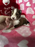 processed/f9caf3b6-4613-486a-9f69-bb9a0ba3d17f/listing/399656fc-641a-42f7-a76f-2f7eeab82081/17592871-b9b2-4ef2-a562-9fff7b042191