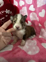 processed/f9caf3b6-4613-486a-9f69-bb9a0ba3d17f/listing/399656fc-641a-42f7-a76f-2f7eeab82081/6ecf93f2-be0d-4d5c-91cd-8846b8fe8c50