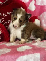 processed/f9caf3b6-4613-486a-9f69-bb9a0ba3d17f/listing/399656fc-641a-42f7-a76f-2f7eeab82081/8e5e8e10-b4b5-4b8f-9d14-3bfbb25cda6d