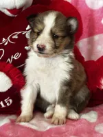 processed/f9caf3b6-4613-486a-9f69-bb9a0ba3d17f/listing/399656fc-641a-42f7-a76f-2f7eeab82081/d3efbe0c-a766-46ef-9701-84edfe089659