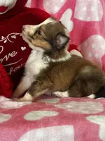 processed/f9caf3b6-4613-486a-9f69-bb9a0ba3d17f/listing/399656fc-641a-42f7-a76f-2f7eeab82081/ebbe34a0-0b72-4a21-a1fb-4869afeb3bf3