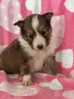 processed/f9caf3b6-4613-486a-9f69-bb9a0ba3d17f/listing/8c06ffac-a43a-4973-9295-35e0ef20bc8c/4a3c4875-7d22-49f6-bf73-ab378ca95db9