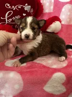 processed/f9caf3b6-4613-486a-9f69-bb9a0ba3d17f/listing/8c06ffac-a43a-4973-9295-35e0ef20bc8c/63216617-3e39-4e60-aa6d-067ff5059b05